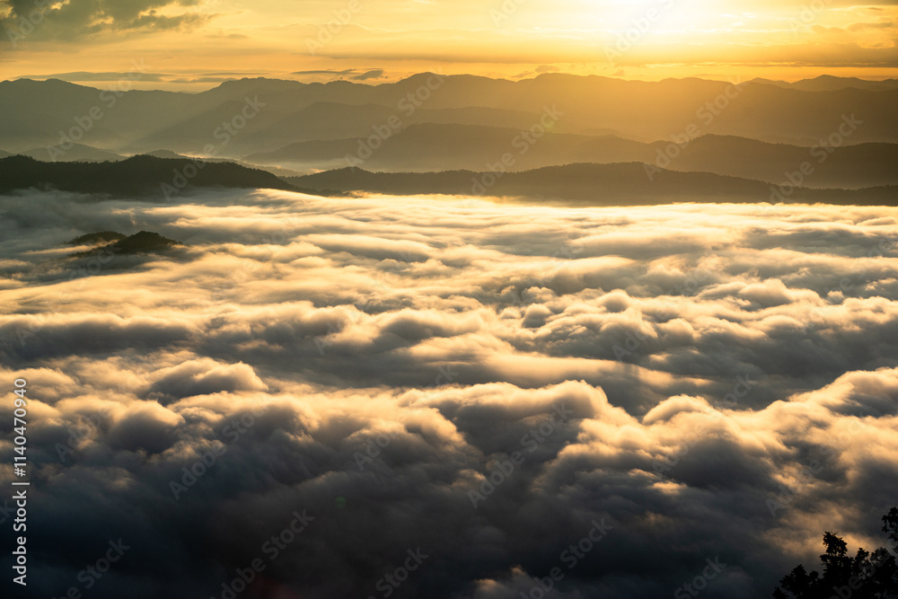 Landscape of the morning sea of ​​mist on the top of a mountain in Thailand.
