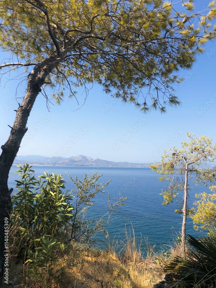 Majestic Ocean View with Mountains in the Background Majestic Ocean View with Mountains in the Background
