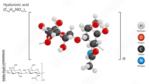 Molecule: Hyaluronic Acid. Molecular structure. Formula: C14H21NO11 or (C14H21NO11)n. Chemical model: Ball and stick. White background. 3D illustration. photo