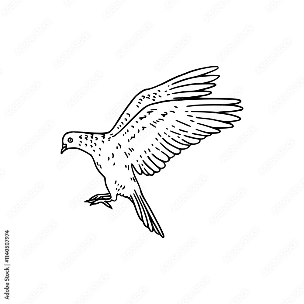 cartoon of a dove coloring page cartoon of a dove coloring page