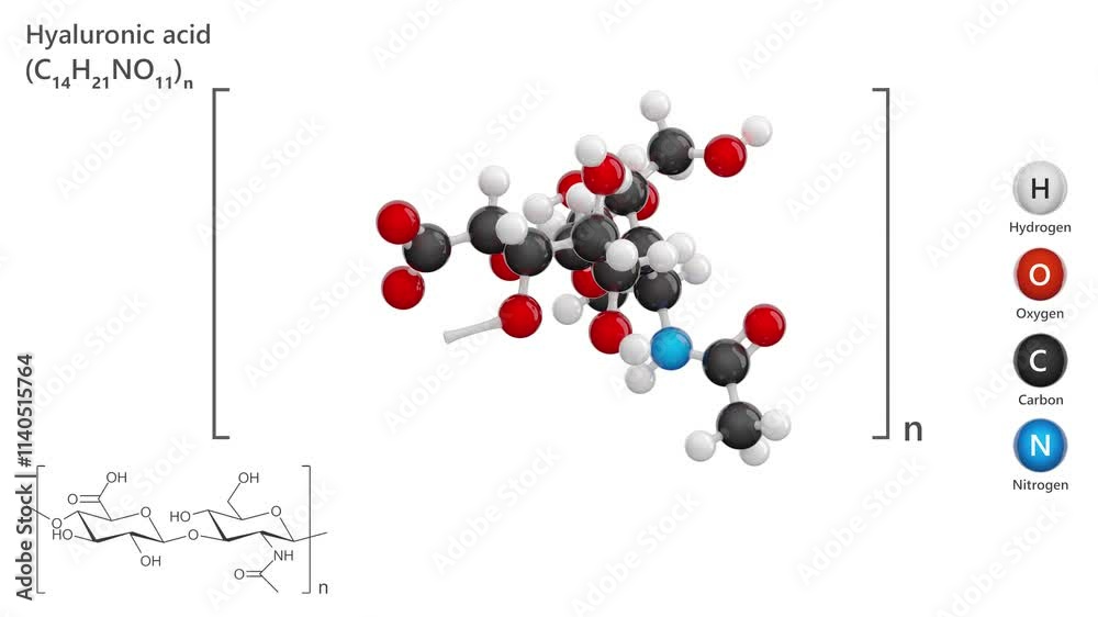 Hyaluronic Acid. Animated 3D model of a molecule. Molecular formula ...