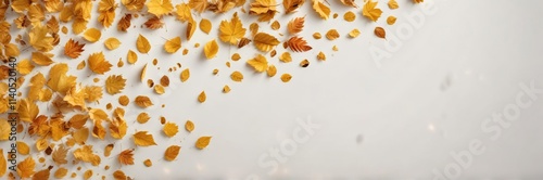 Golden autumn leaves scattered on a pristine white background , seasonal change, leaf landscape