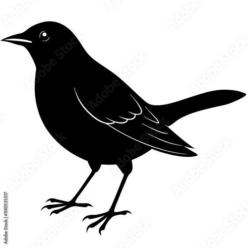 Blackbird Silhouette vector illustration