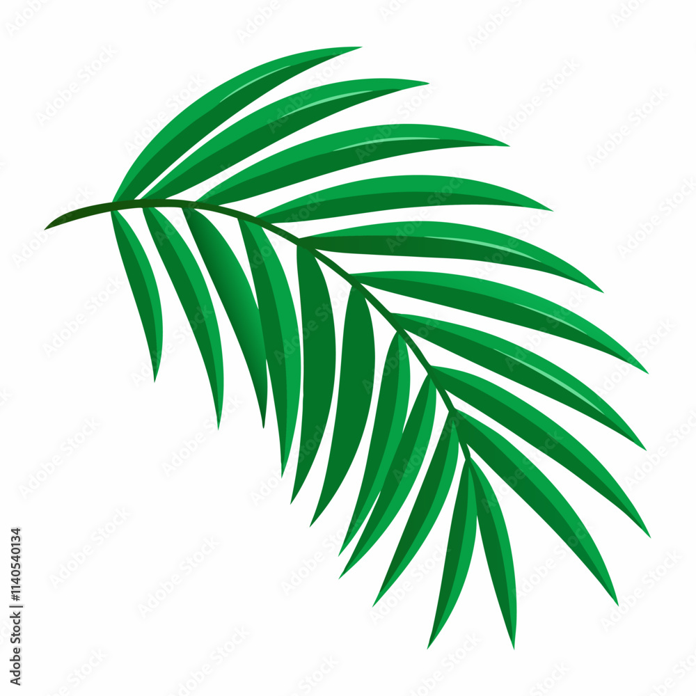 Fototapeta premium green palm leaves vector icon with white background