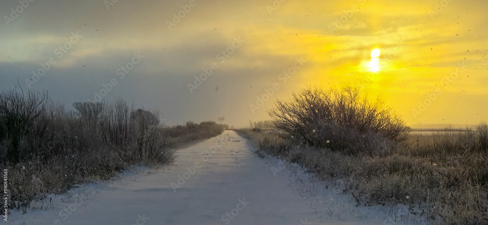 Fototapeta premium Sunrise