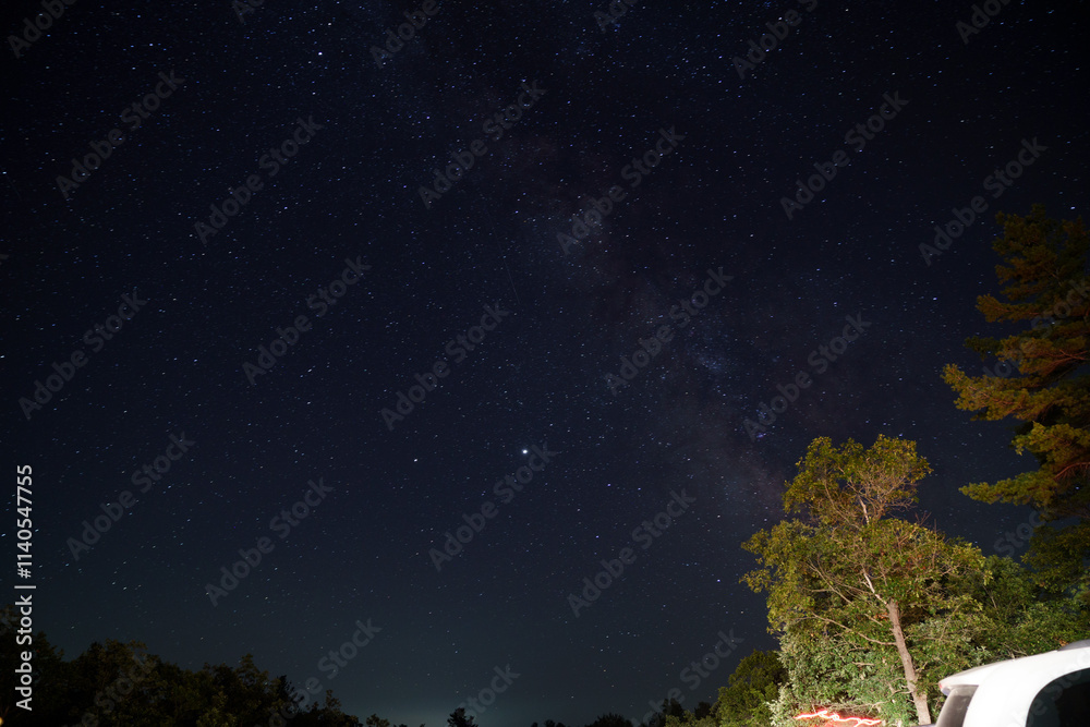 stars in the night sky stars in the night sky