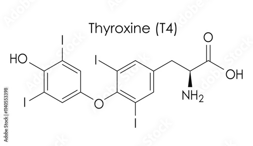 Thyroxine hormone chemical formula, vector scheme of molecule structure