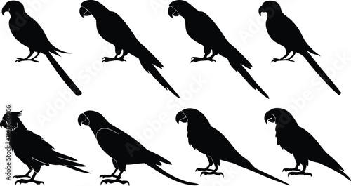 Parrot silhouette vector art set in different styles, using black color illustration design photo