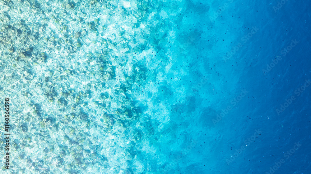 Top view of the turquoise gradient color of the water. The ocean is like a background. Incredible gradient from light blue to dark. Reef and fish swim. Clear water in the lagoon. The drone. Maldives