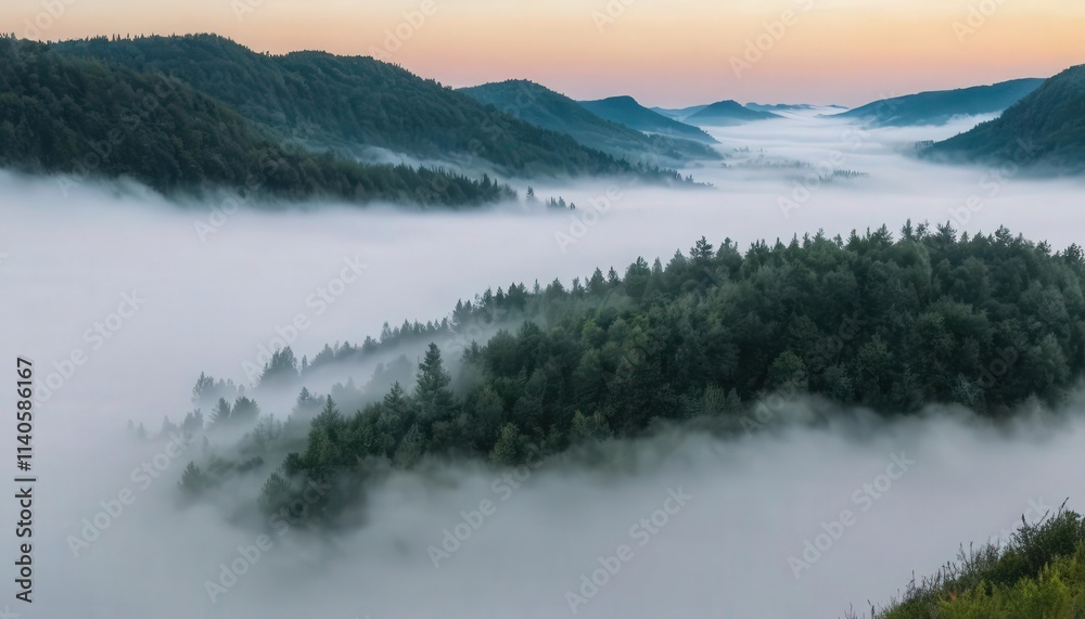 Fototapeta premium Fog in nature, cities and villages with misty forest landscape