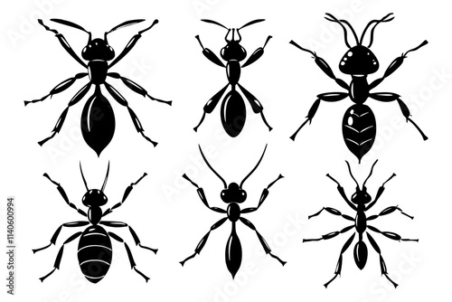 5 different styles of Ants vector silhouette