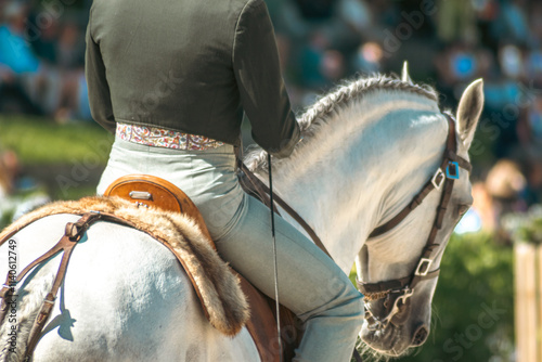 Foto view from behind of a lusitano purebred horse and its rider in an equestrian com