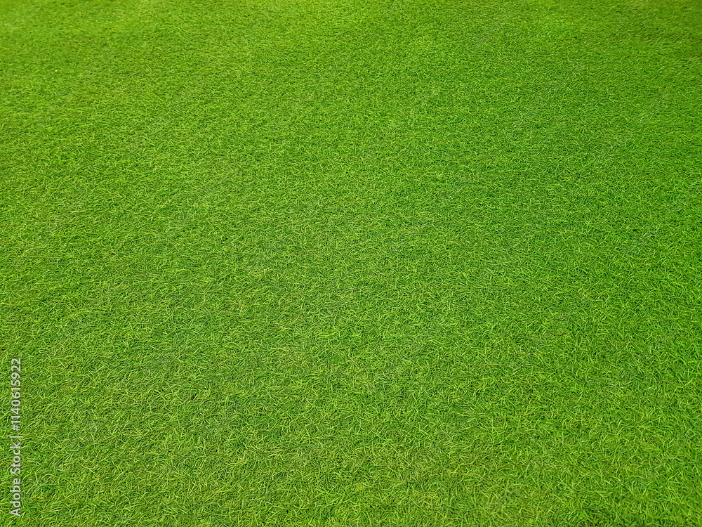 Top view of artificial grass, green sports field background pattern, synthetic plastic texture. Top view of artificial grass, green sports field background pattern, synthetic plastic texture.
