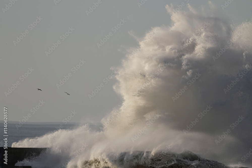 Obraz premium Huge wave splash