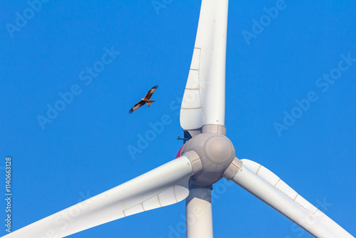 Windrad gegen Vogel photo