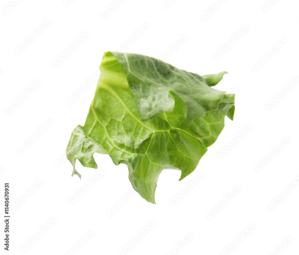 Piece of lettuce leaf isolated on white Piece of lettuce leaf isolated on white