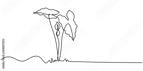 leaves of Nephthytis or Green Caladium continuous one line drawing, Fresh green arrowhead vine plant (Syngonium podophyllum) in black pot isolated on white background, Arrow head plant or ‎Syngonium.