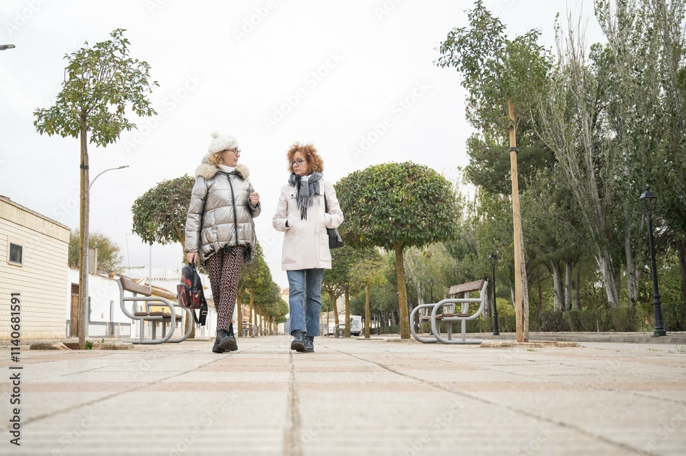 Fototapeta premium Two senior women walking and talking on a tree-lined sidewalk in a peaceful urban setting during a cloudy winter day
