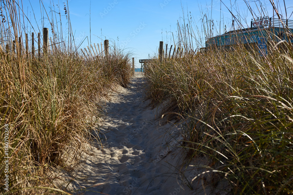 Obraz premium grass on the beach