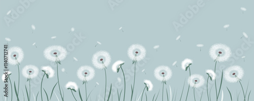 Beautiful dandelions with flying seeds. Vector illustration of blooming dandelions for design background. Dandelion seeds flying from gusts of wind.