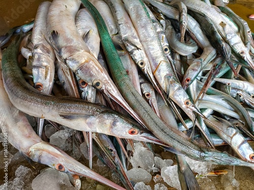 heap of needle fish, full beak fish with ice ready for sale in Indian fish market photo