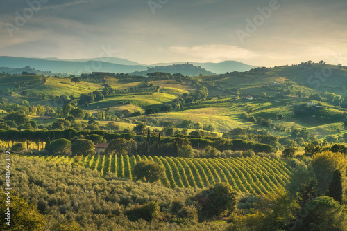 Landscape of the Morellino di Scansano wine vineyards. Tuscany region, Italy