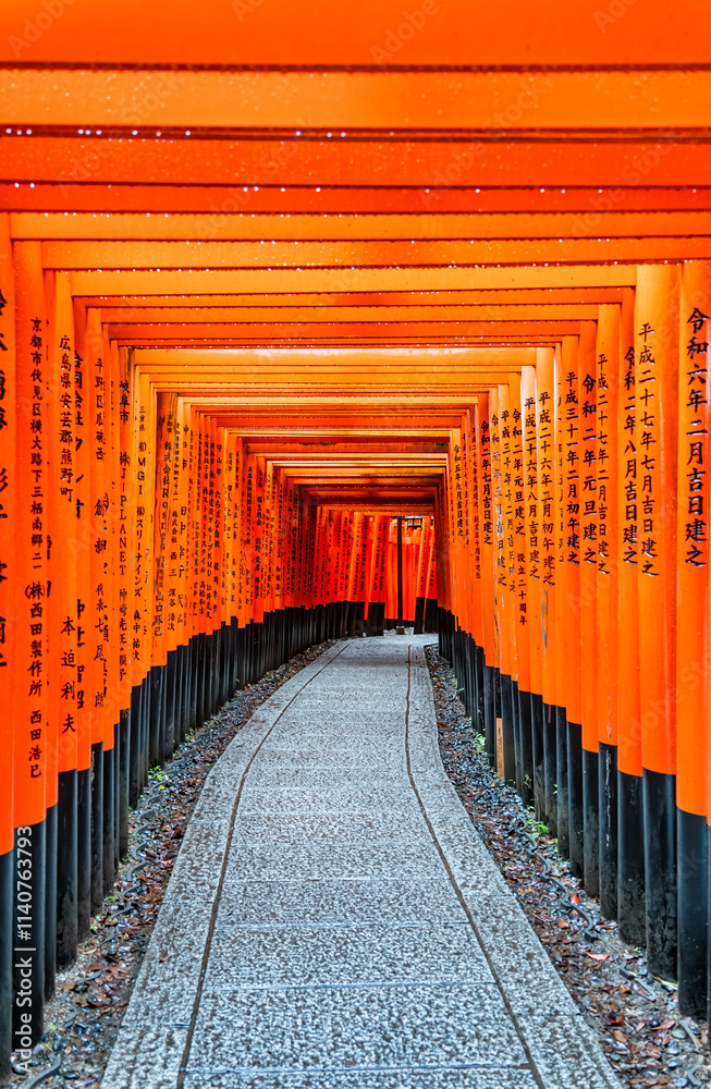 Fototapeta premium The torii gate covered walking path at Fushimi Inari Taisha temple in Kyoto, Japan. ( Japanese inscriptions translated are different religion blessings)