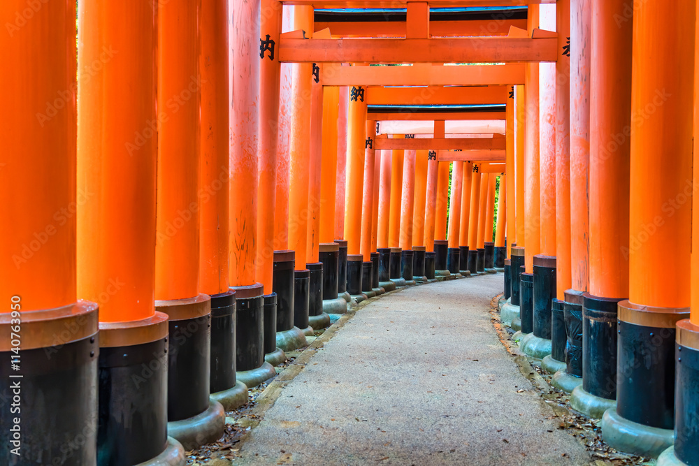 The torii gate covered walking path at Fushimi Inari Taisha temple in Kyoto, Japan. ( Japanese inscriptions translated are different religion blessings) The torii gate covered walking path at Fushimi Inari Taisha temple in Kyoto, Japan. ( Japanese inscriptions translated are different religion blessings)