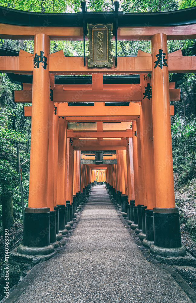 The torii gate covered walking path at Fushimi Inari Taisha temple in Kyoto, Japan. ( Japanese inscriptions translated are different religion blessings) The torii gate covered walking path at Fushimi Inari Taisha temple in Kyoto, Japan. ( Japanese inscriptions translated are different religion blessings)