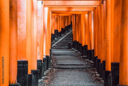 The torii gate covered walking path at Fushimi Inari Taisha temple in Kyoto, Japan. ( Japanese inscriptions translated are different religion blessings)