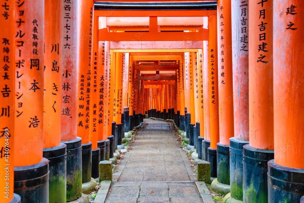 The torii gate covered walking path at Fushimi Inari Taisha temple in Kyoto, Japan. ( Japanese inscriptions translated are different religion blessings) The torii gate covered walking path at Fushimi Inari Taisha temple in Kyoto, Japan. ( Japanese inscriptions translated are different religion blessings)