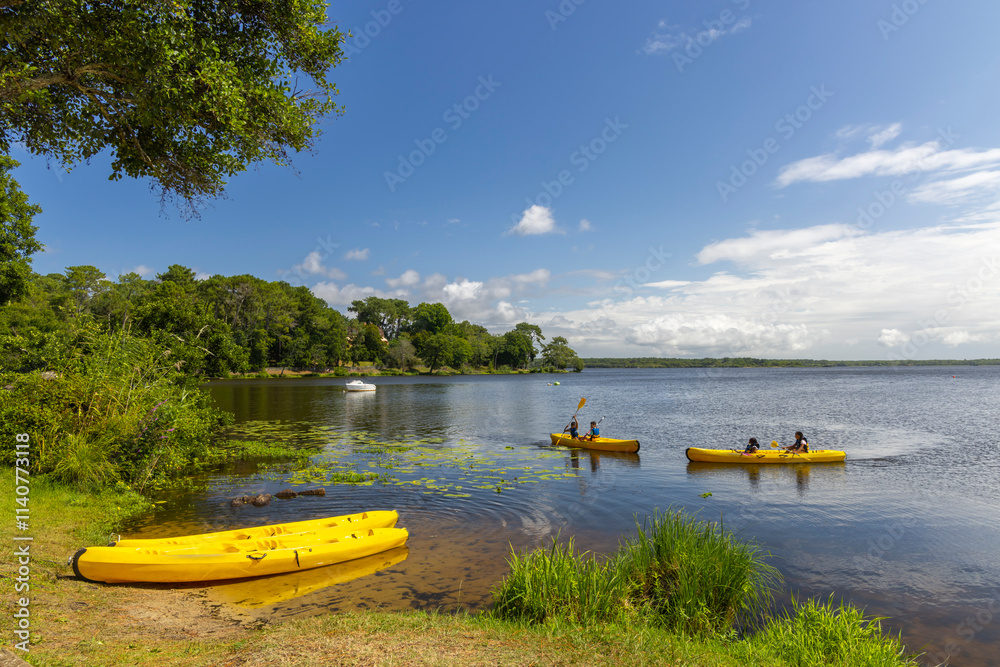 Etang d'Aureilhan (Lac d'Aureilhan), Mimizan, New Aquitaine, France