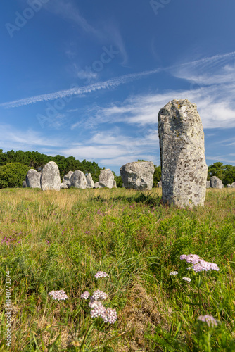 Standing stones (or menhirs) in Carnac, Morbihan, Brittany, France photo