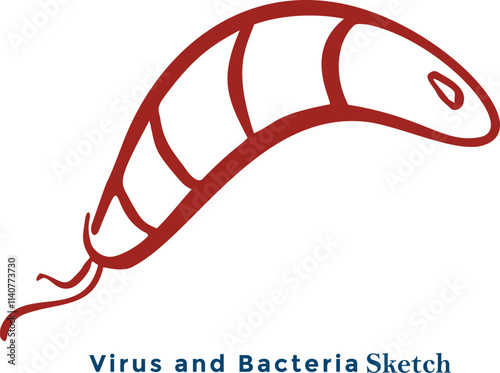  viral vectors in the body.