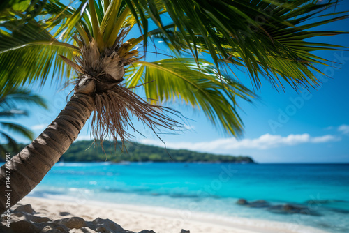 serene and picturesque island beach displays palm trees, gentle sands, and alluring waters, evoking a sense of paradise and tranquility photo