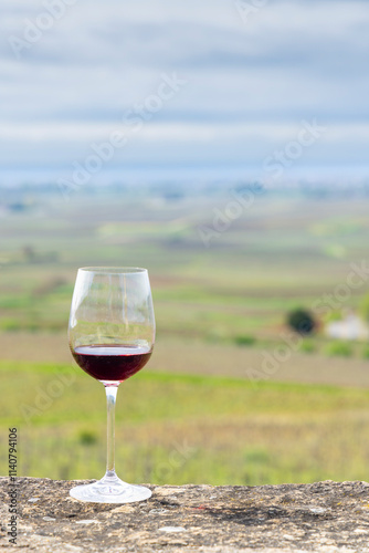 Wallpaper Mural Glass of pinot noir red wine in early spring vineyards near Aloxe-Corton, Burgundy, France Torontodigital.ca