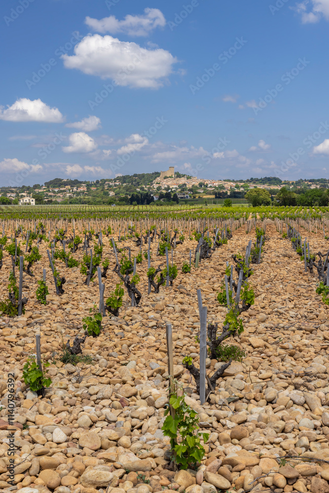 Typical vineyard with stones near Chateauneuf-du-Pape, Cotes du Rhone, France Typical vineyard with stones near Chateauneuf-du-Pape, Cotes du Rhone, France