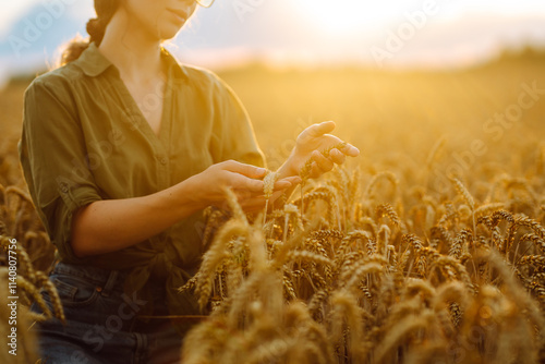 Woman Farmer examining crops in wheat farm at sunset. Agriculture food industry. Rich harvest. photo