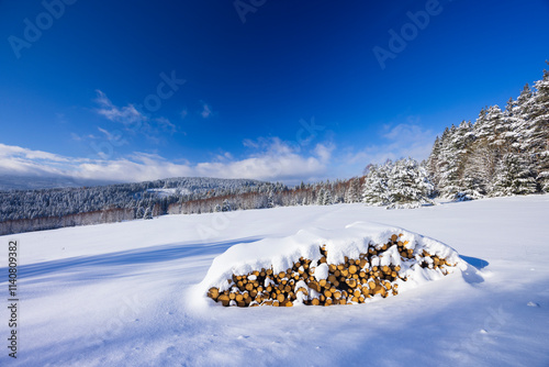 Typical winter landscape with logs wood near Modrava, Nation park Sumava, Czech Republic photo