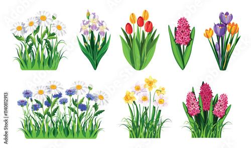 Set of spring and summer flowers with grass in cartoon style.Vector illustrations of different flowers, leaves and herbs:daisies,irises, tulips, hyacinths, crocuses, cornflowers, daffodils, hyacinths.