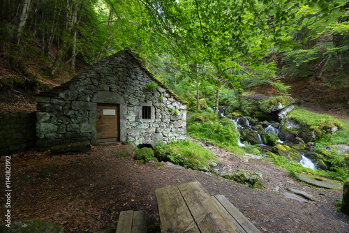 Water wheel mill (Moulin de Chambeuil), Laveissiere, Cantal, Auvergne-Rhone-Alpes, France photo