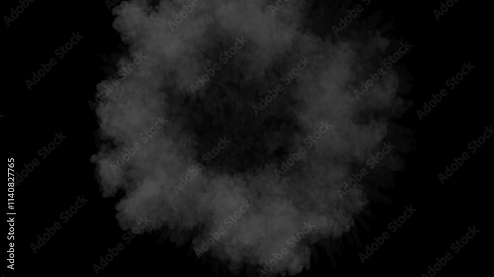 Smoke 3D, With Alpha Channel
Smoke 3D, With Alpha Channel