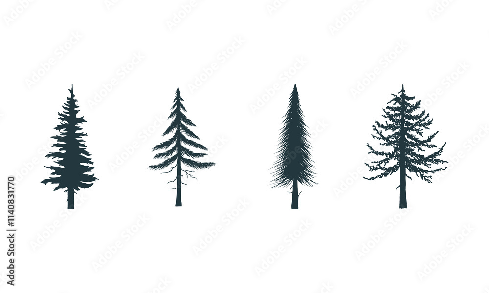 Obraz premium set of trees