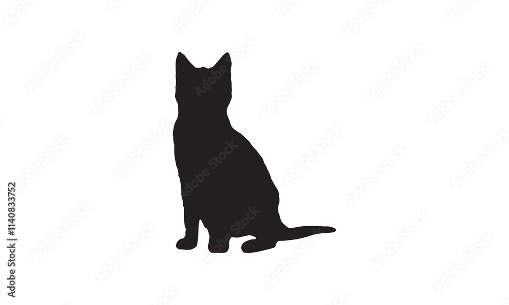 Fototapeta premium silhouette of a cat