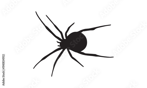 spider on a white background