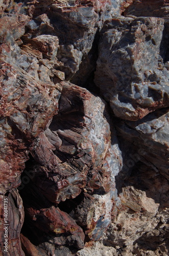 rocks in the river