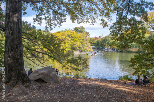 Central Park's Stunning Fall Foliage, A Scenic View of Autumn Colors