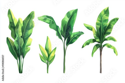 Tropical leaf design element set in format, transparent background