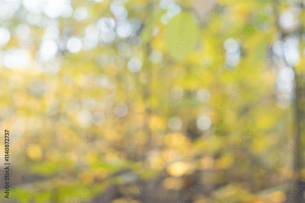 Obraz premium Blurred autumn forest background with warm golden tones and soft natural light creating a bokeh effect.