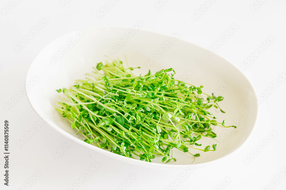 リポベジした豆苗 リポベジした豆苗